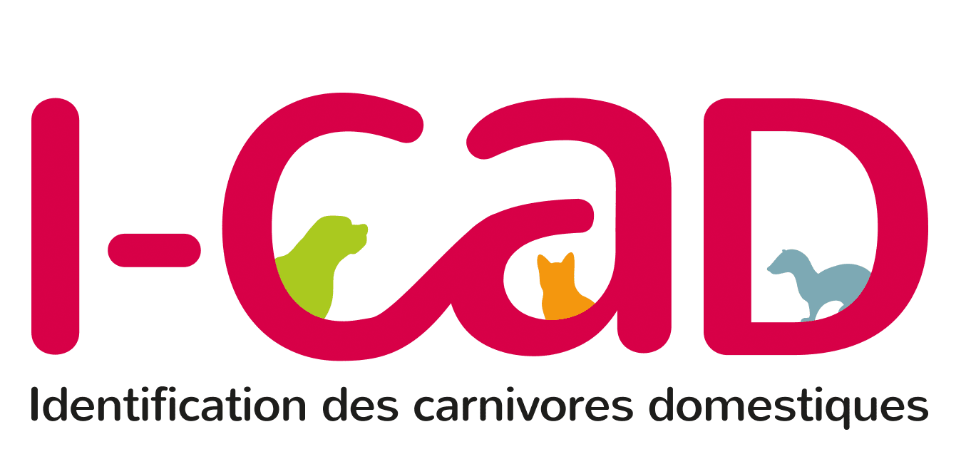 logo i-cad