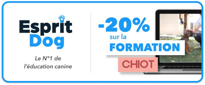 Offre Formation chiots Esprit Dog