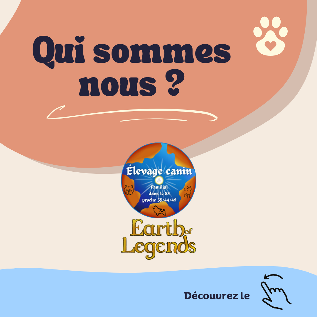Berger Australien, Chow Chow et Chihuahua de l'élevage Élevage d'Earth of Legends