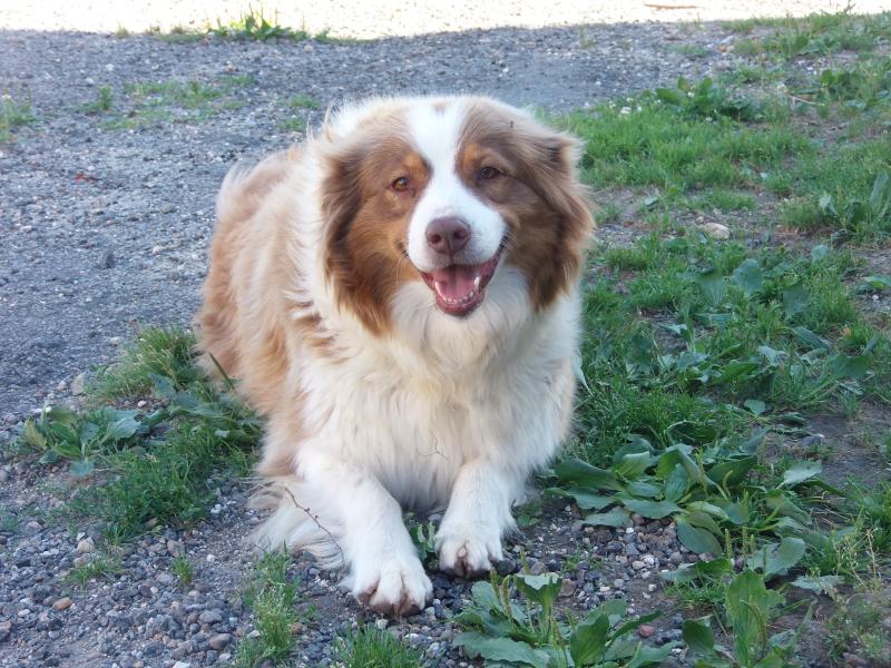 PATAMILKA DES CONTES DE GRIMM