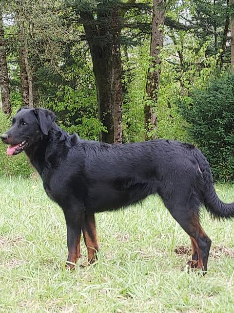 TAQUINE DE LA P'TIOTE REINE