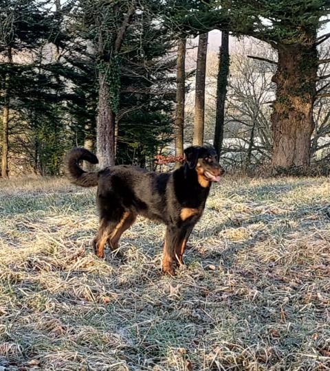 SURPRISE DES VAUX ROUGES