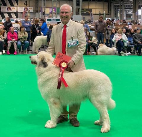 BELTAINE MIRACLE LUNA OF MYSTICELYSIUM