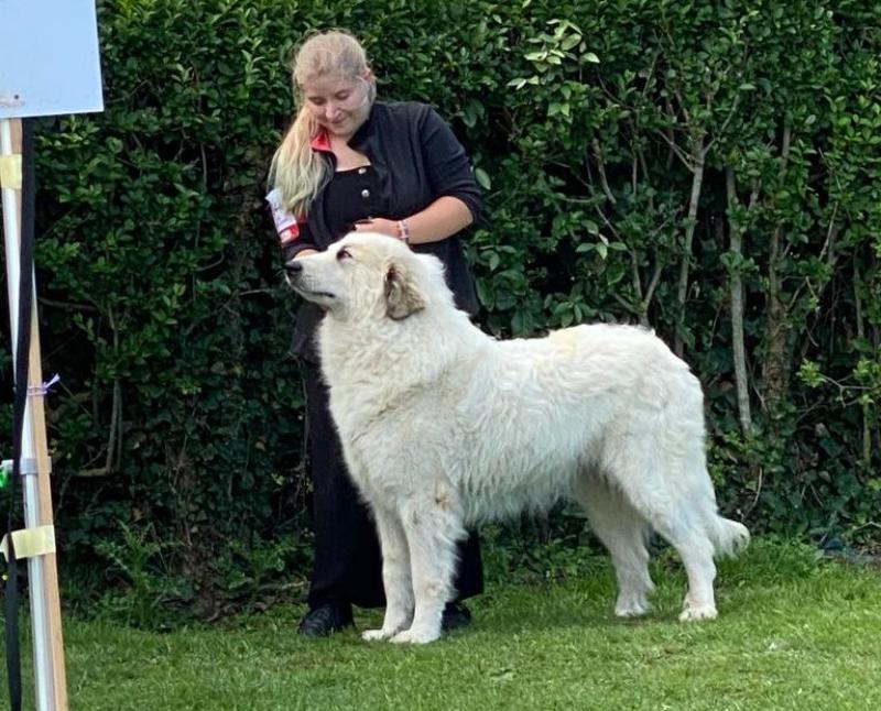 POPPY DU VAL DE PYRENE