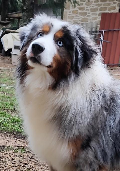 VITAM AETERNAM DES CROCS DU VIVARAIS