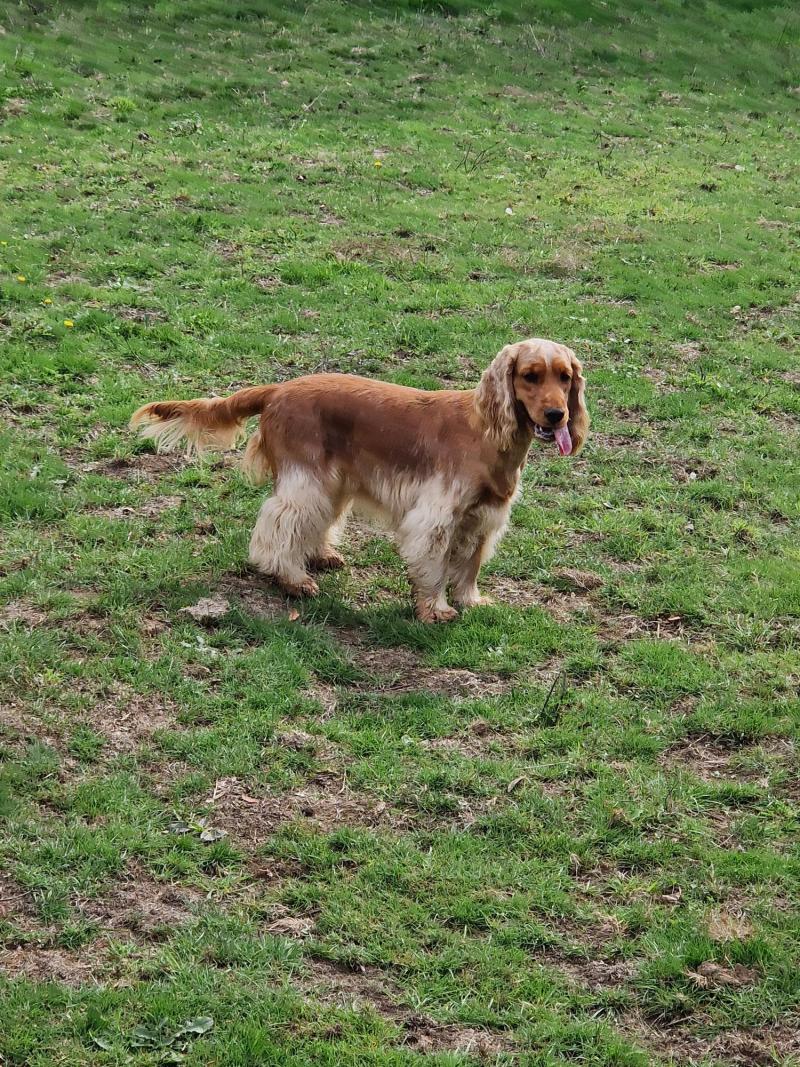 TALYA OERCE-SYD DU DOMAINE DE LA PRUNERAIE