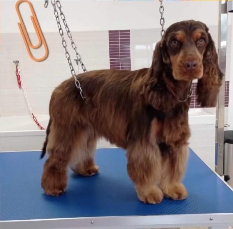 UTHA PERCENIK DU DOMAINE DE LA PRUNERAIE