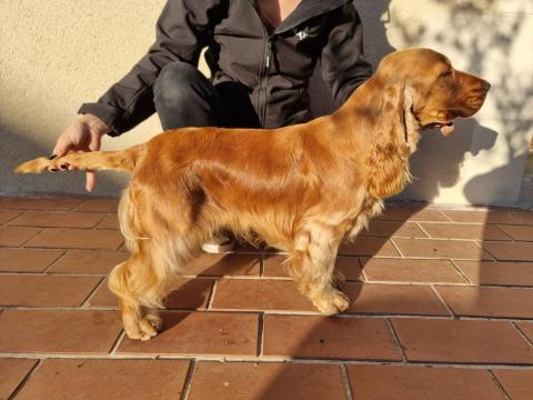 UNA DU DOMAINE DE LA VERRINETTE