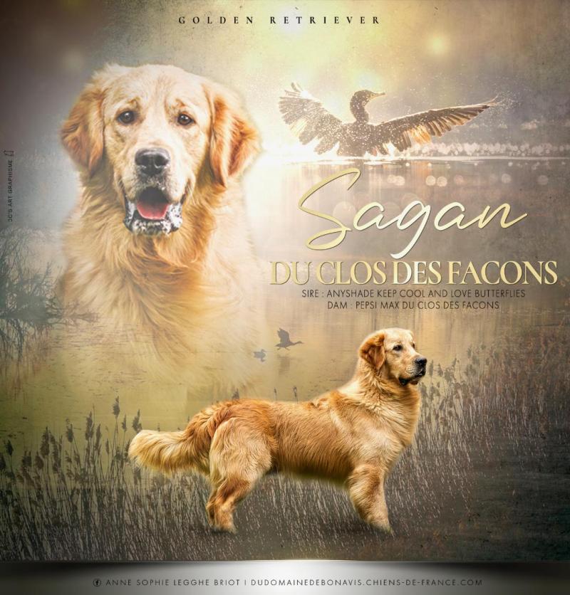 SAGAN DU CLOS DES FACONS