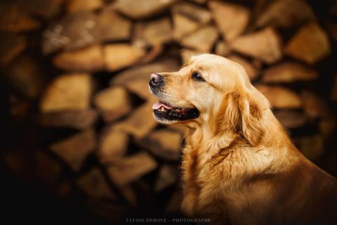 SI-BELLE DU DOMAINE D'ALEXAN