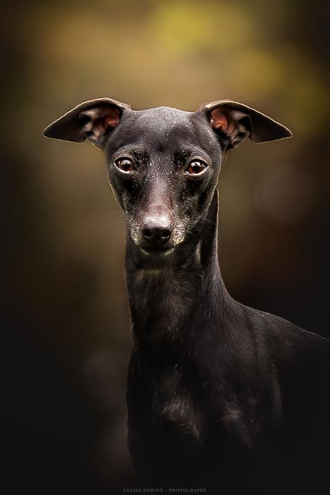 S-JUMPSUIT DU ZEPHYR DE BIZANCE