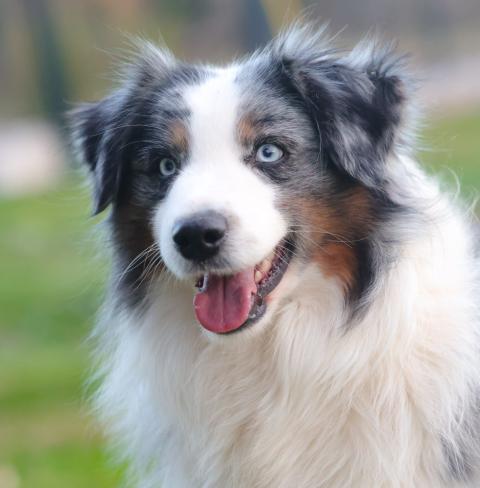 SUNNY I LOVE YOU DE LA FOLLE EMPRISE