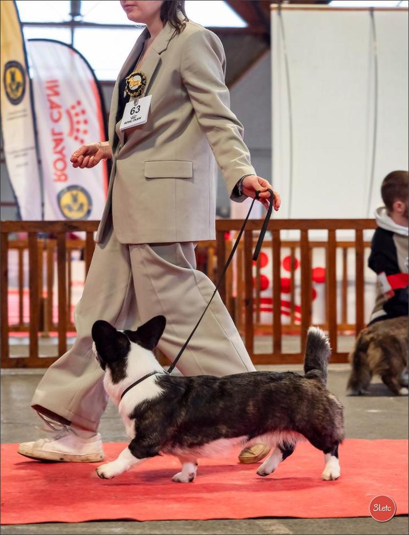 TEIFI LLYN DE L'AVENUE DES ARTISTES