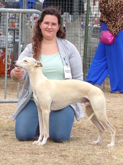 TEXAS DU DOMAINE BELLE ROSE