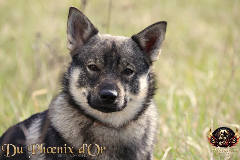 VALI DU SERMENT DES BRUMES