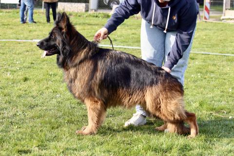 TEQUILA DU DOMAINE DE BRENDA