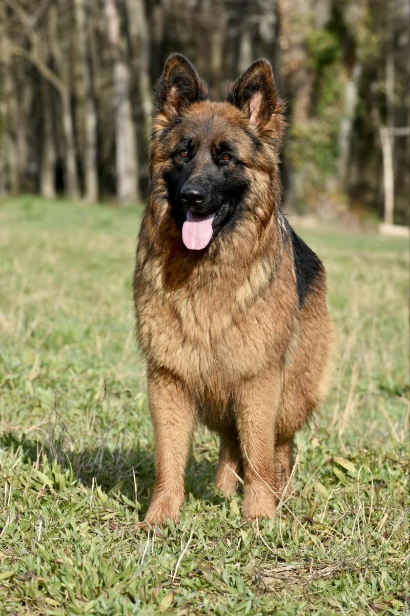 USHUAIA DU DOMAINE DE BRENDA