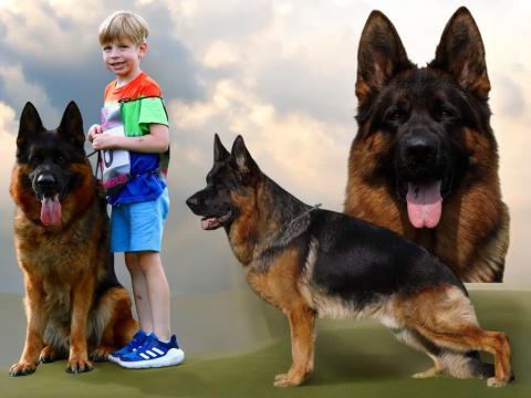 UMBRO DU GRAND REVOYET