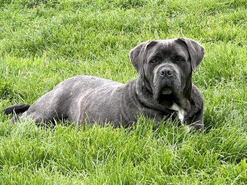 OLIMPIA DELLA VALLE DEI LORD