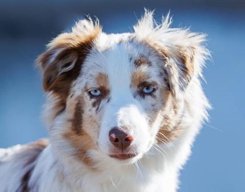 URFEE DES TERRES DE LA BAYOLLE