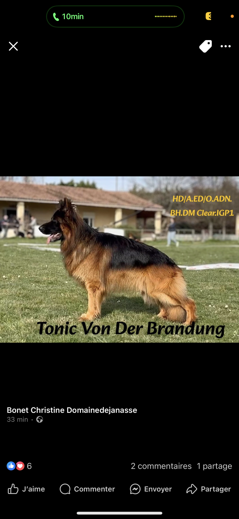 TONIC VON DER BRANDUNG