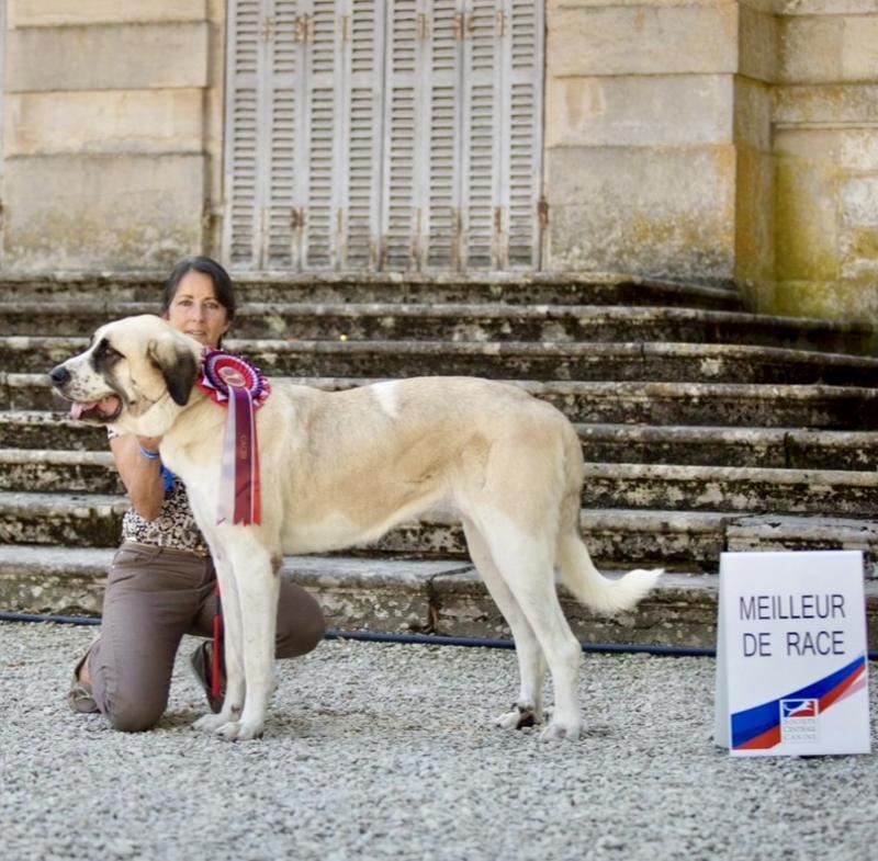 PERLA DU HARAS DU PATY