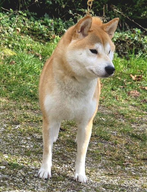 YUKIHANA NO REIKI ARIADINA