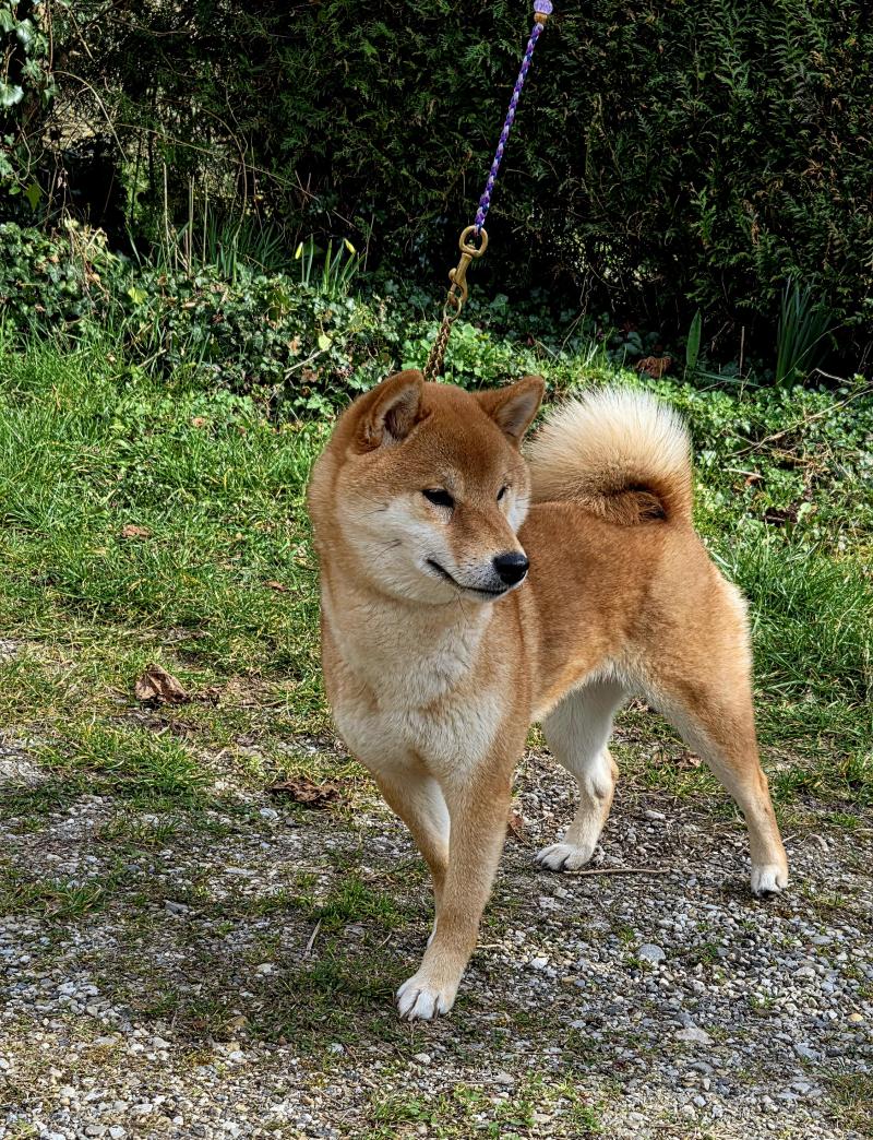 ORE-SAMA BAVARIA YURI