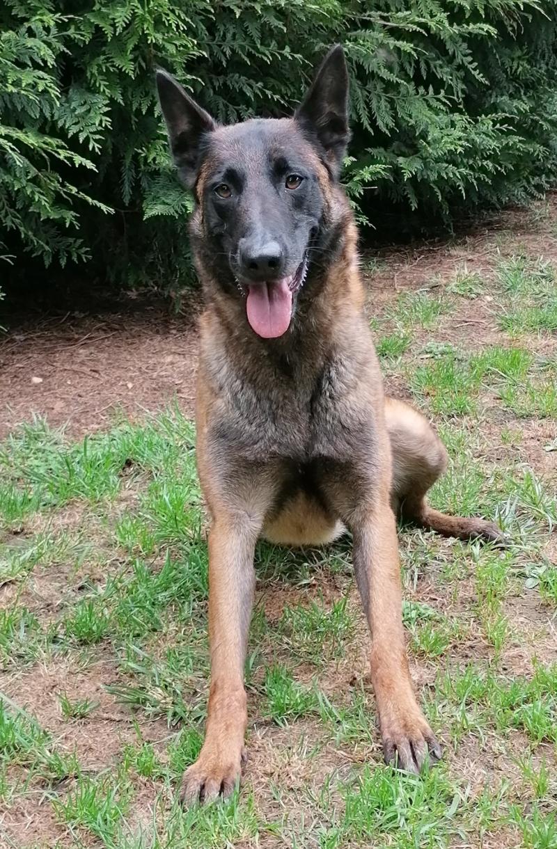 ODYSSEE DU DOMAINE D'ORCA