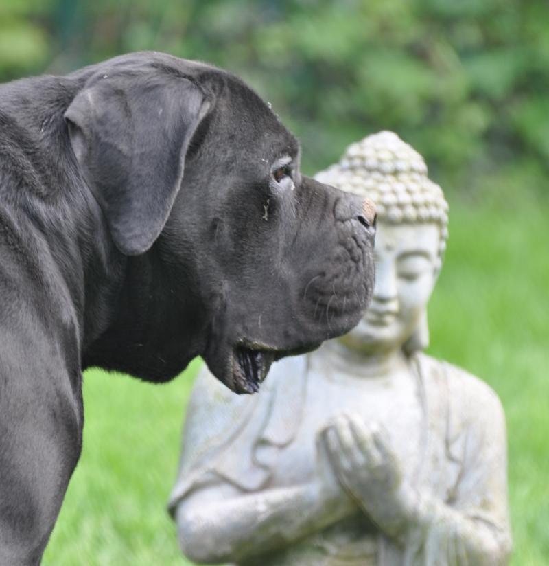 SALTO DES CALANQUES DE PIANA