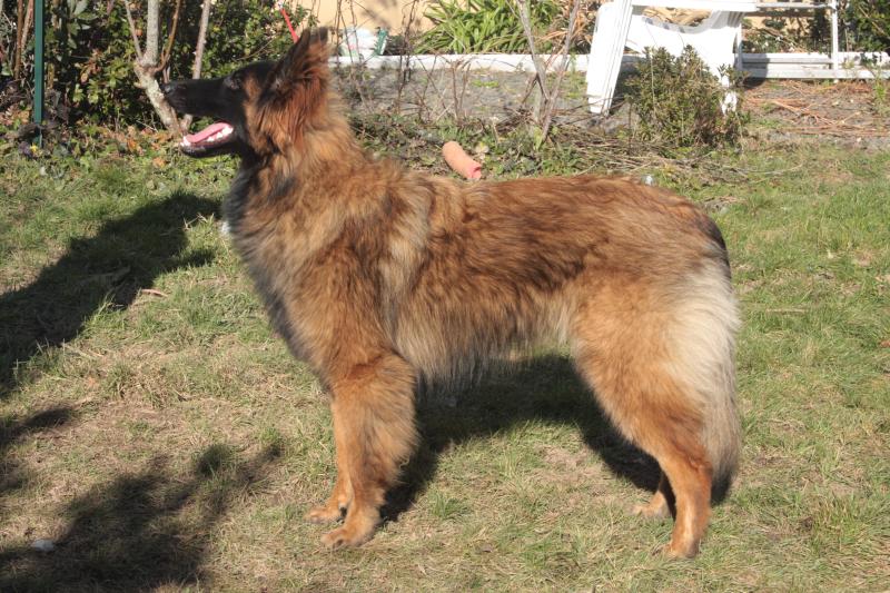 THAISS DU VAL DE PYRENE