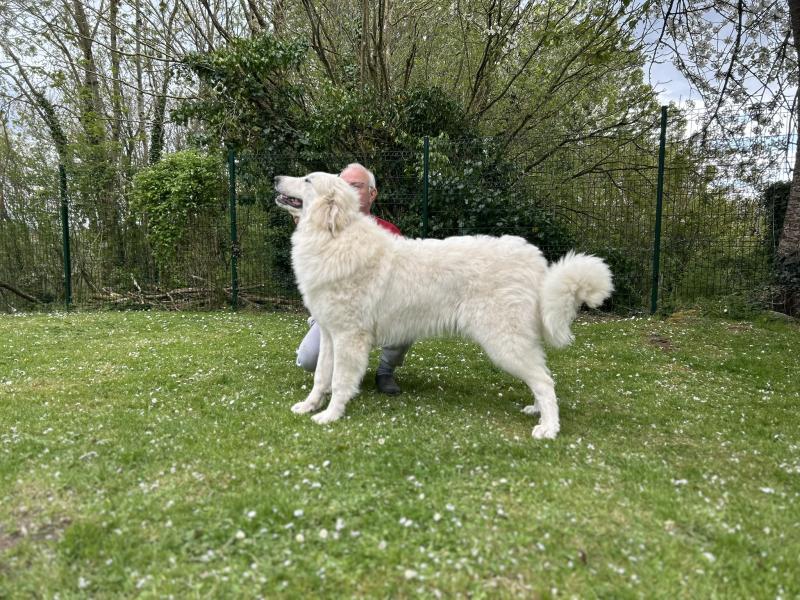 VREN DU VAL DE PYRENE