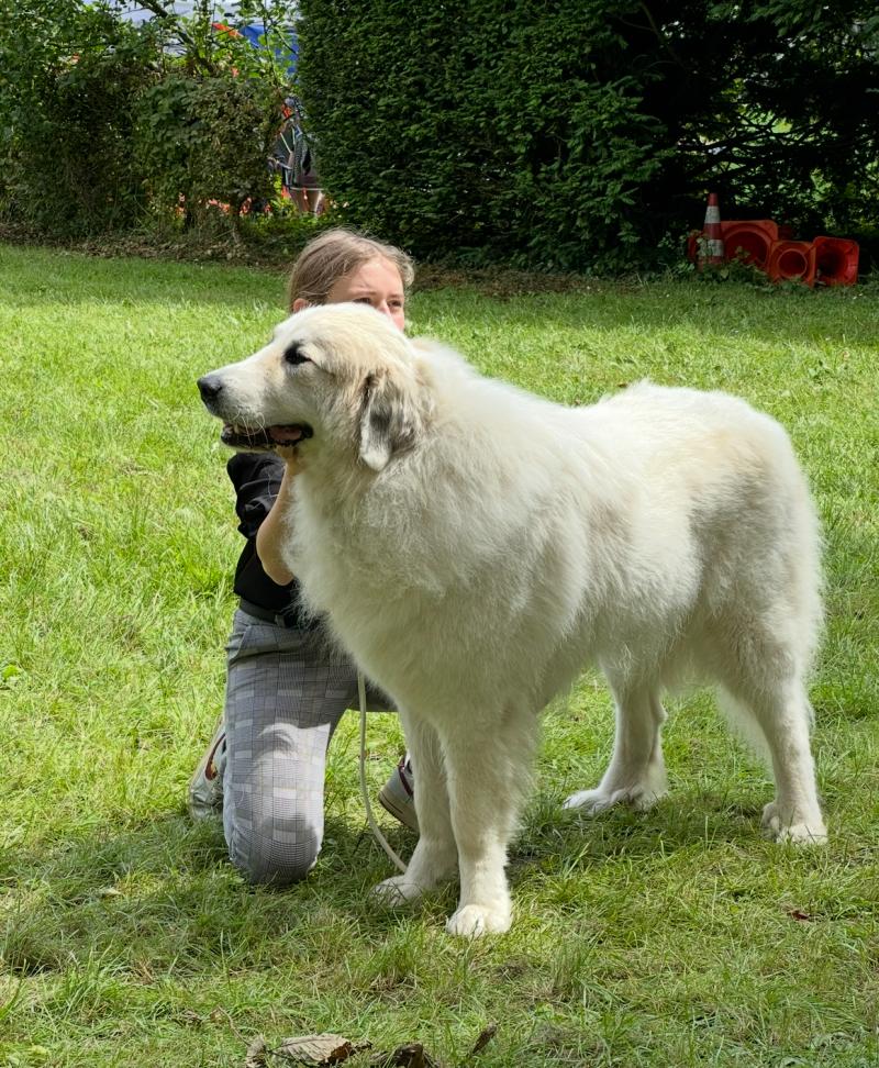 TBELLE DU VAL DE PYRENE