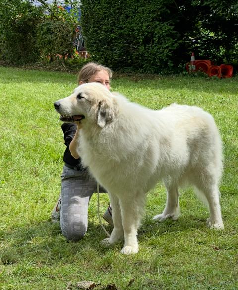 TBELLE DU VAL DE PYRENE