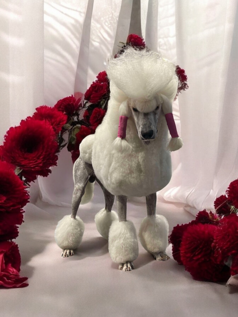 UNGAND WHITE DIT HERMES DU DOMAINE DU PARC