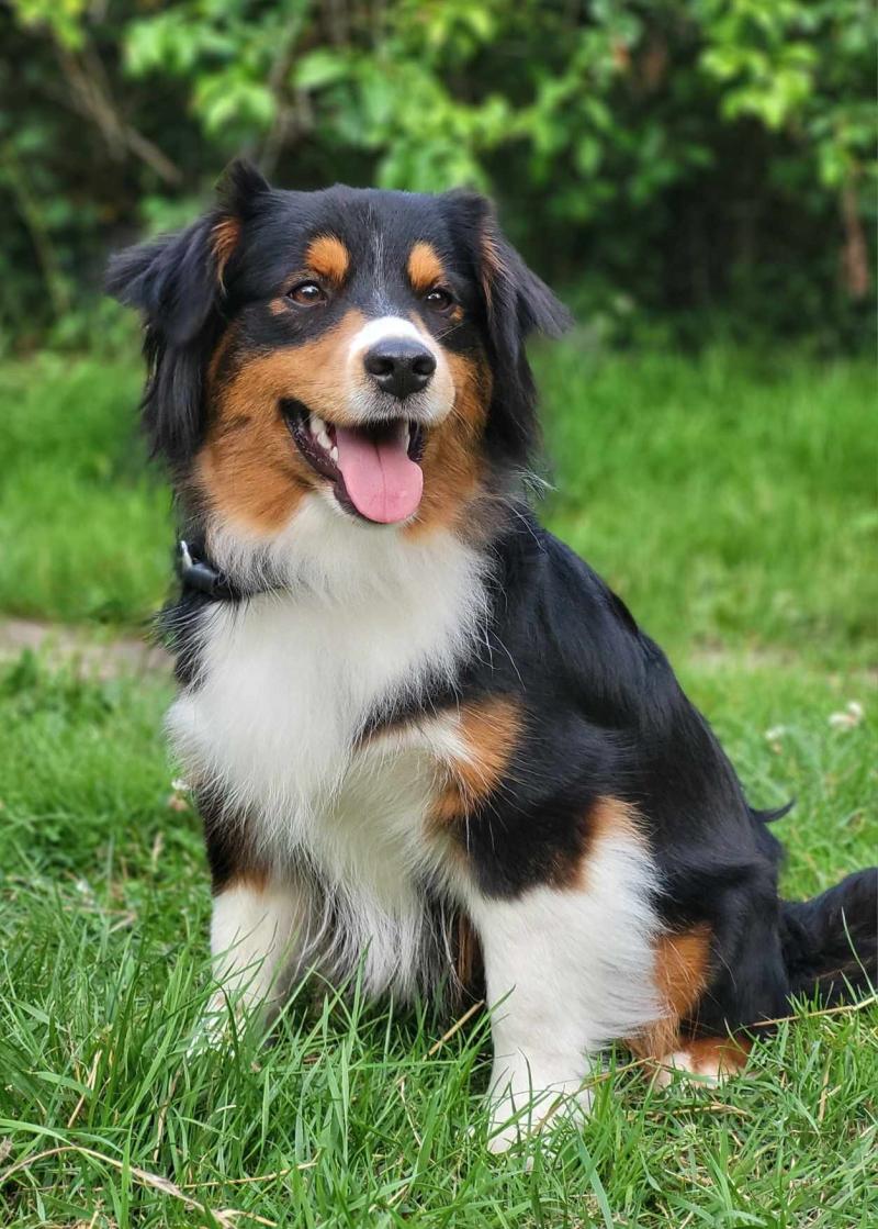 URBANA DU ROYAUME D'ARIA