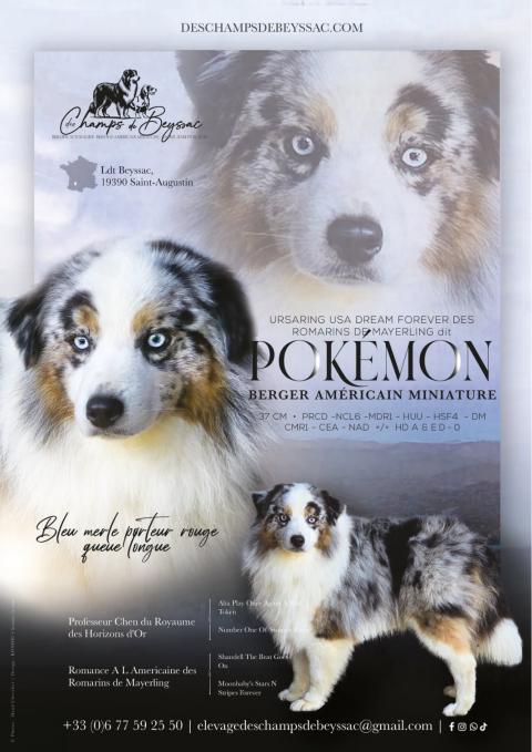 URSARING USA DREAM FOREVER DES ROMARINS DE MAYERLING