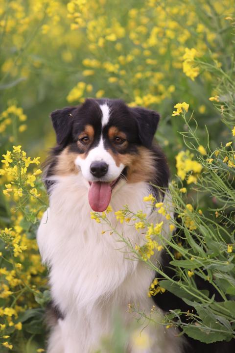 KONGRATS YOU ARE LUCKY