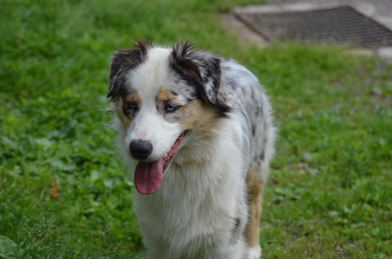 ULTIA DES LEGENDES DE L'OUEST