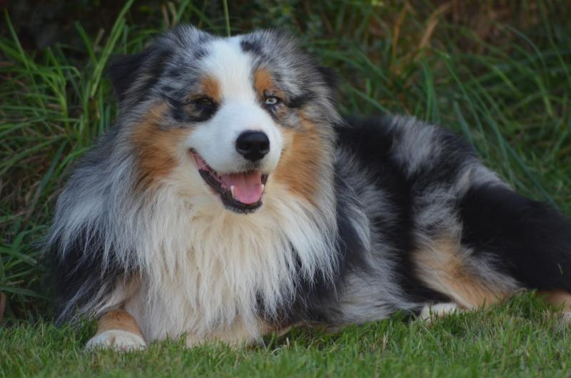 MOONBABY'S LORD OF THE OLYMPIC GODS OLYMPUS