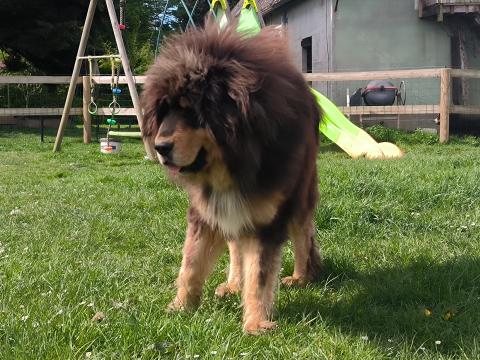 UNIQUE DU DOMAINE DE TOUNDRA