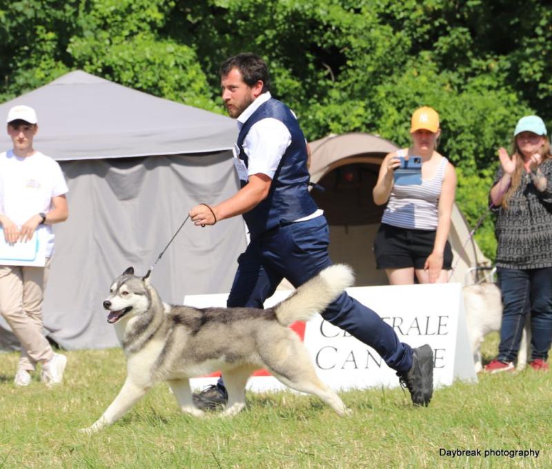 SO SHINY GIRL DE DAYBREAK NORTHERN