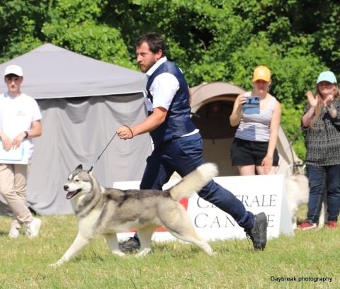 SO SHINY GIRL DE DAYBREAK NORTHERN