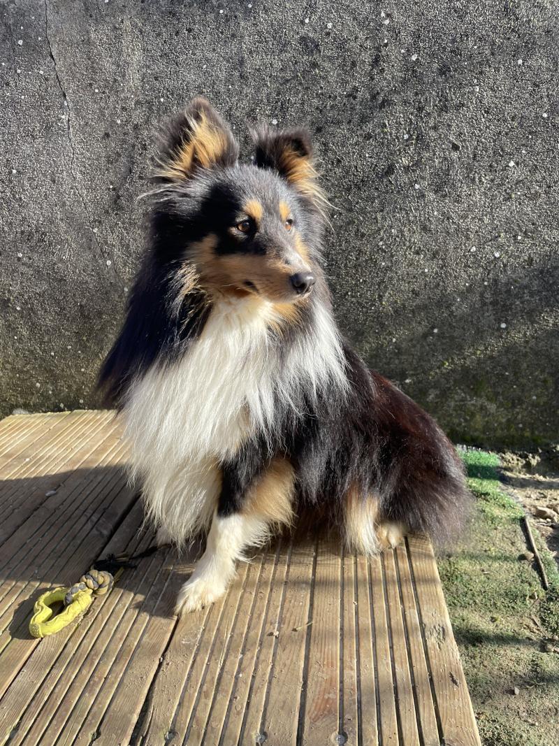 VANORA JONE'S TORNADO