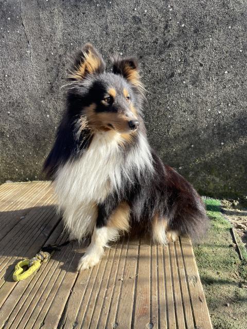 VANORA JONE'S TORNADO