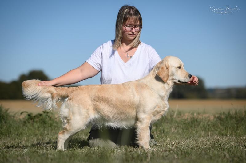 UNSTOPPABLE QUEEN ANGELS OF TARA