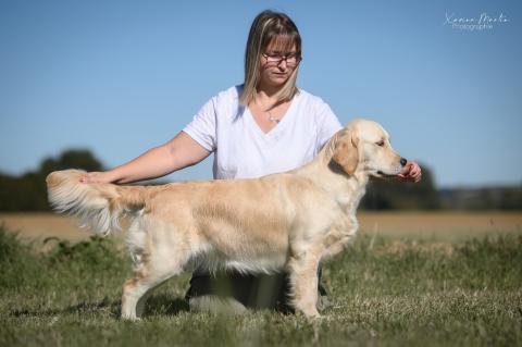 UNSTOPPABLE QUEEN ANGELS OF TARA