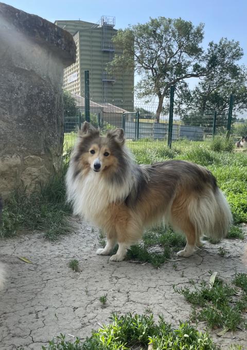 VANORA JONE'S REGGAE NIGHT