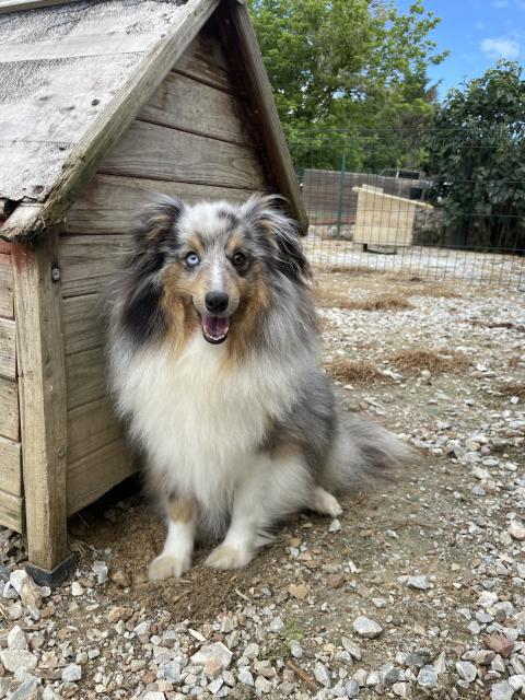 VANORA JONE'S SHEYENNE