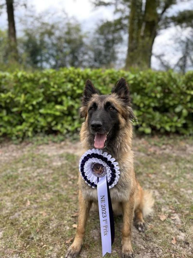 RACINE DU FORT DE CADRES